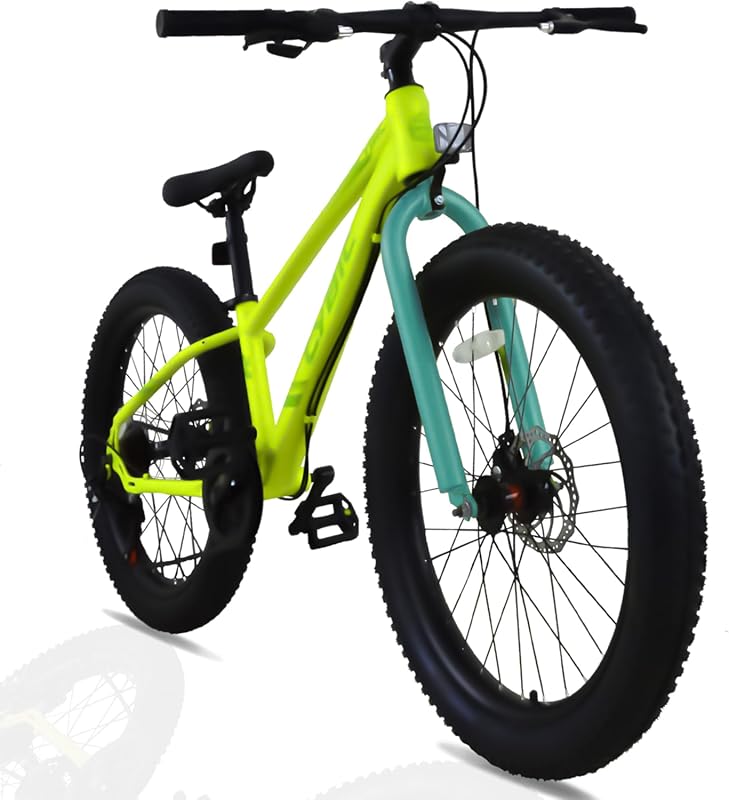 Fat Tire Mountain Bike 24 Inch with 7 Speeds, Double Disc Brake & High