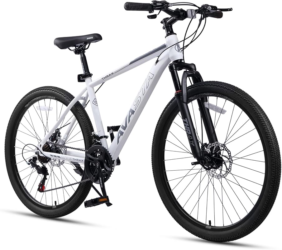 AVASTA Thrax 24
