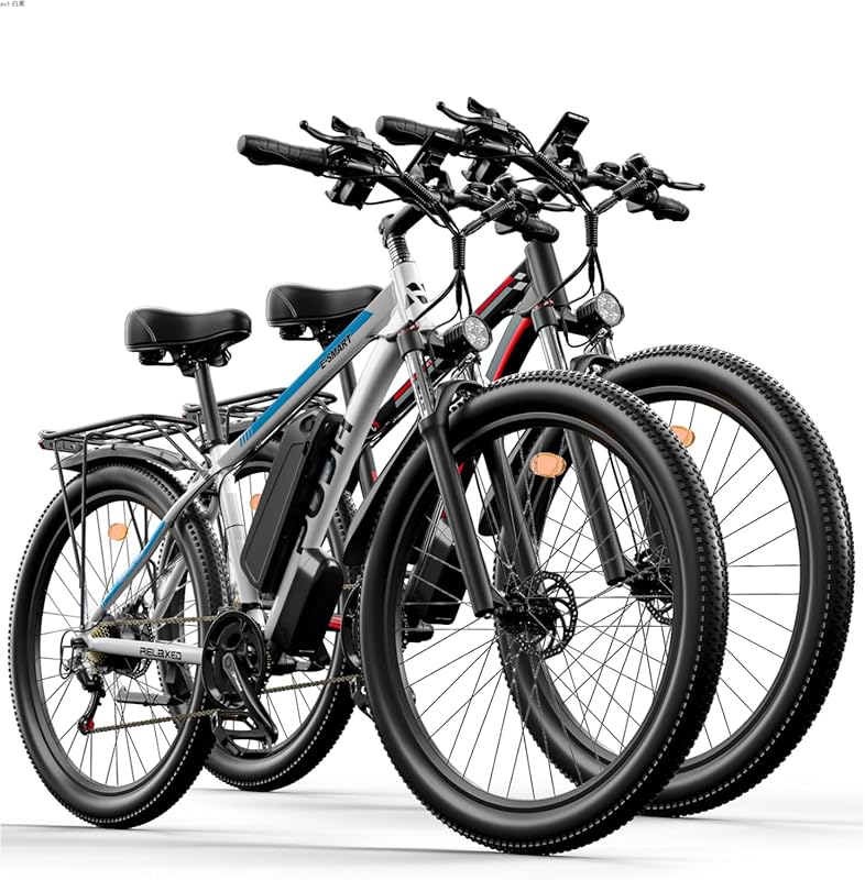 Electric Bike 48V 17.5Ah 840Wh Peak 1500W 29